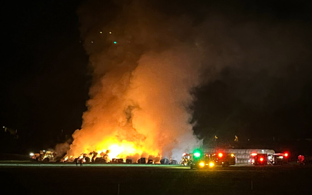 Incendio en San Diego: Cientos de Pacas de Heno Consumidas en Safari Park