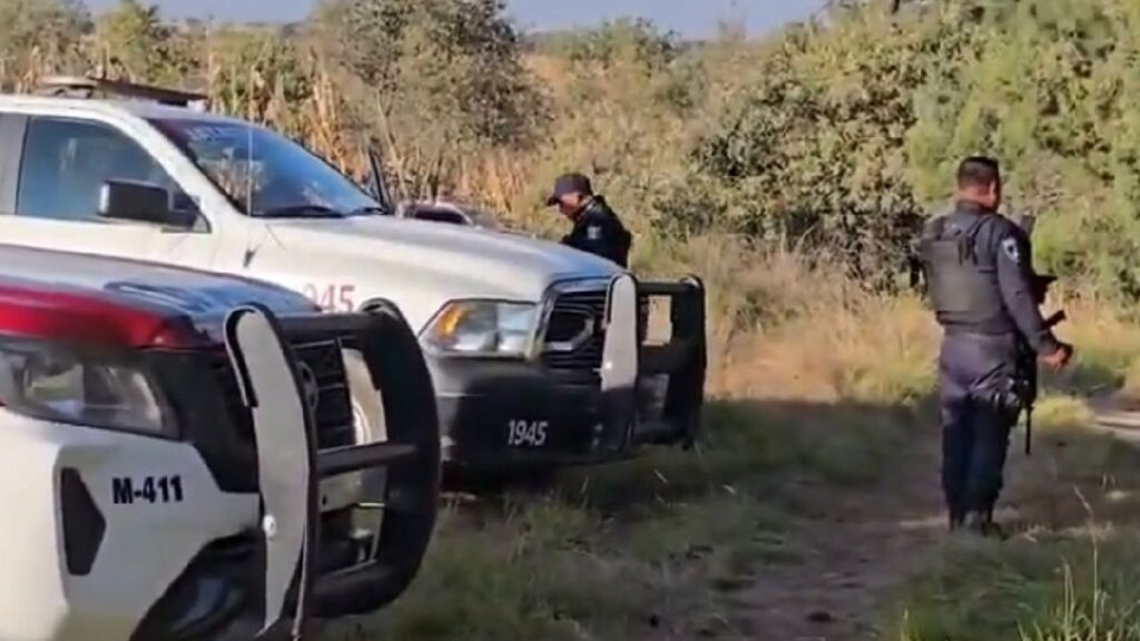 Multihomicidio en Puebla: Siete Cadáveres con Huellas de Violencia Hallados en Límite con Tlaxcala