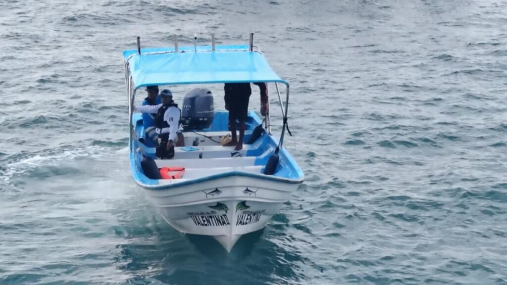 Trágica Muerte de Mujer Estadounidense en Puerto Vallarta: Impacto de Lancha contra Ballena