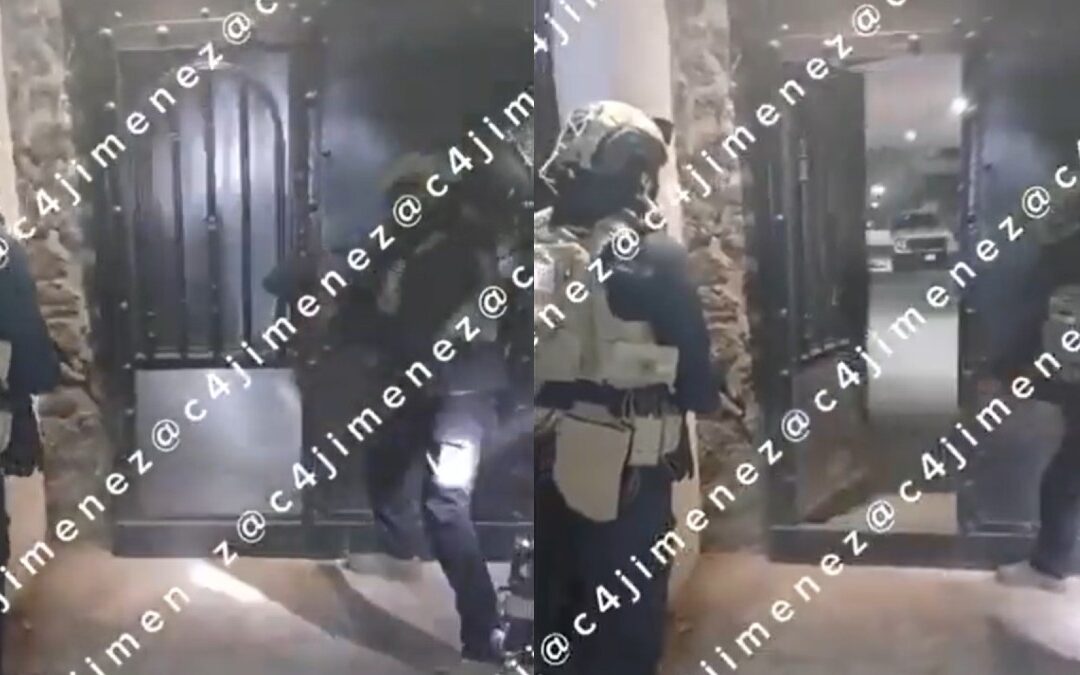 Rescatan perritos en operativo en Xochimilco; confiscan armamento del Cártel de Sinaloa